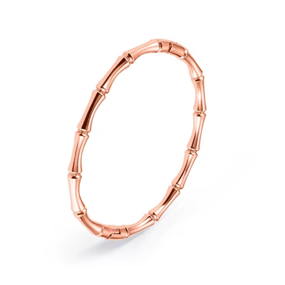 NWOT Bangle Bracelet